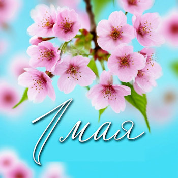 Праздник 1 Мая: встречаем с цветами!