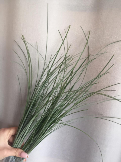 Берграсс (нет в наличии)