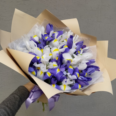 Букет из 19 бело-фиолетовых ирисов