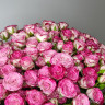 Букет из 51 кустовой розы «Хейли»
