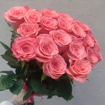 Букет из 19 роз Amsterdam