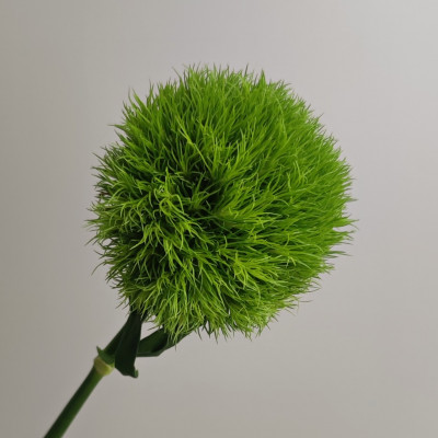 Гвоздика Грин (нет в наличии)