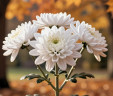 Хризантема Одноголовая (нет в наличии) 
