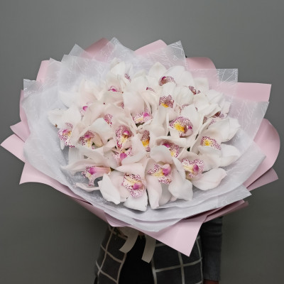 Букет из 25 белых орхидей