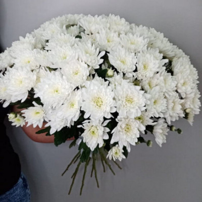 Белые Хризантемы 