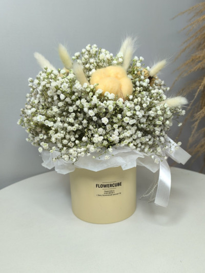 Коробочка с гипсофилой, хлопком и лагурусом