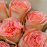 Букет из 9 пионовидных роз Кантри Хоум
