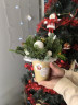 Новогодние стаканчики из ели и пихты