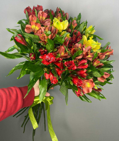 Букет из 17 ярких альстромерий