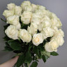 Букет из 25 роз белый (50 см)