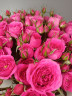 Букет «Розовая волна»