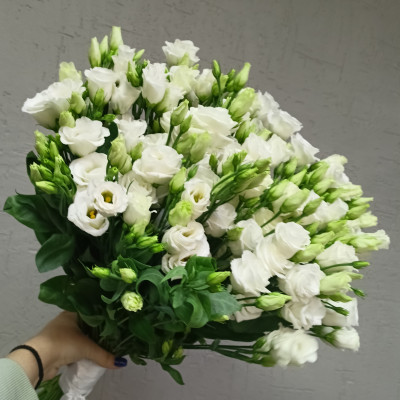 Букет из 27 белых эустом