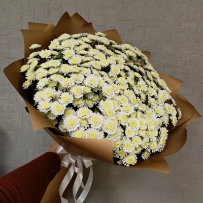 Букет из 15 хризантем «Сталлион»