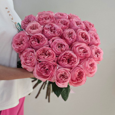 Букет из 25 роз PINK EXPRESSION