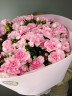 Букет «Розовые гвоздики»
