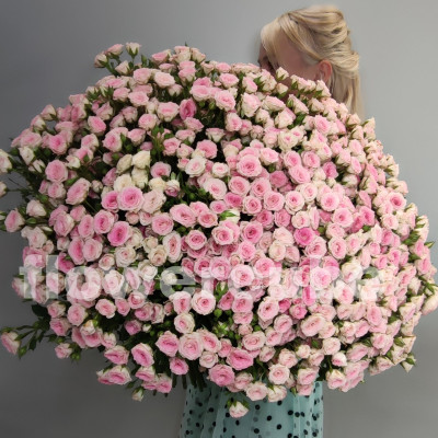 Букет из 121 кустовой розы