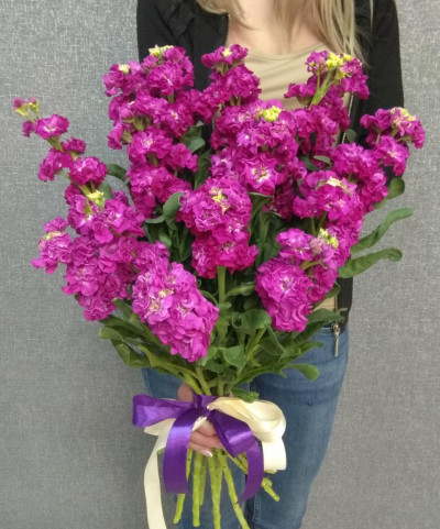 Букет из маттиолы 15 шт 