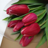 Букет из 7 красных тюльпанов