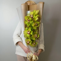 Зеленая орхидея в оформлении
