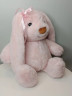 Мягкая игрушка Зайка (002)