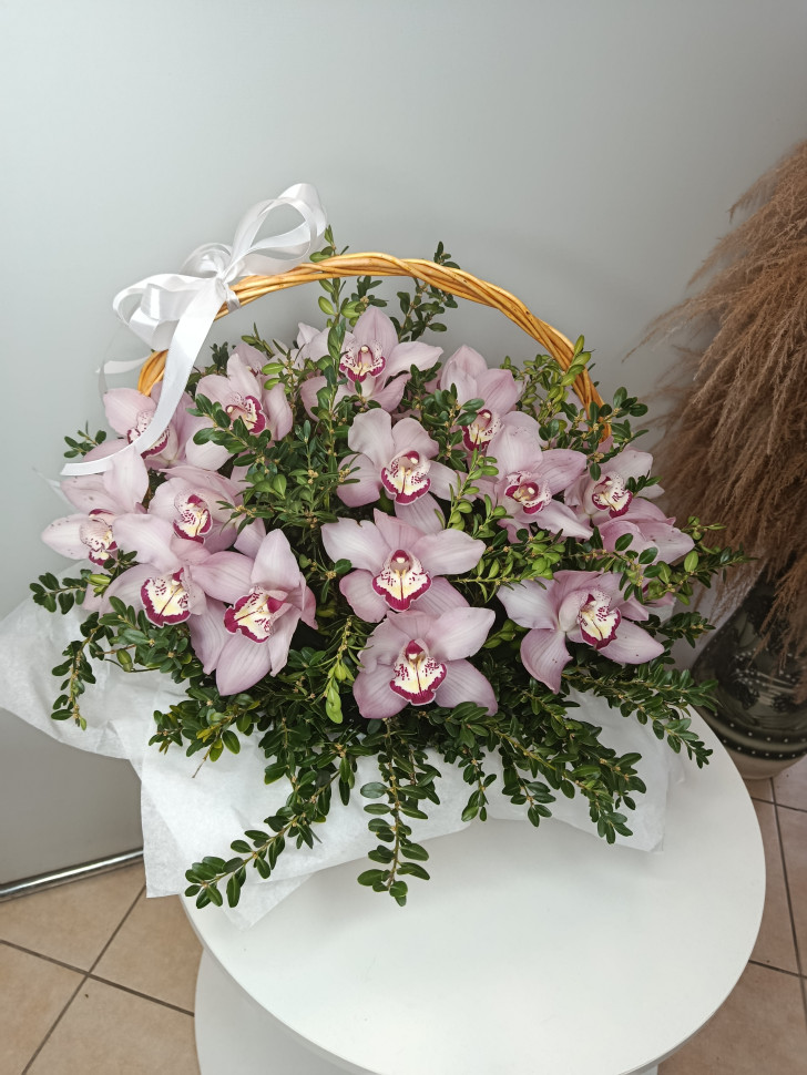 Корзина с розовой орхидеей и самшитом