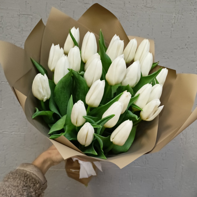 Букет из 25 белых тюльпанов 