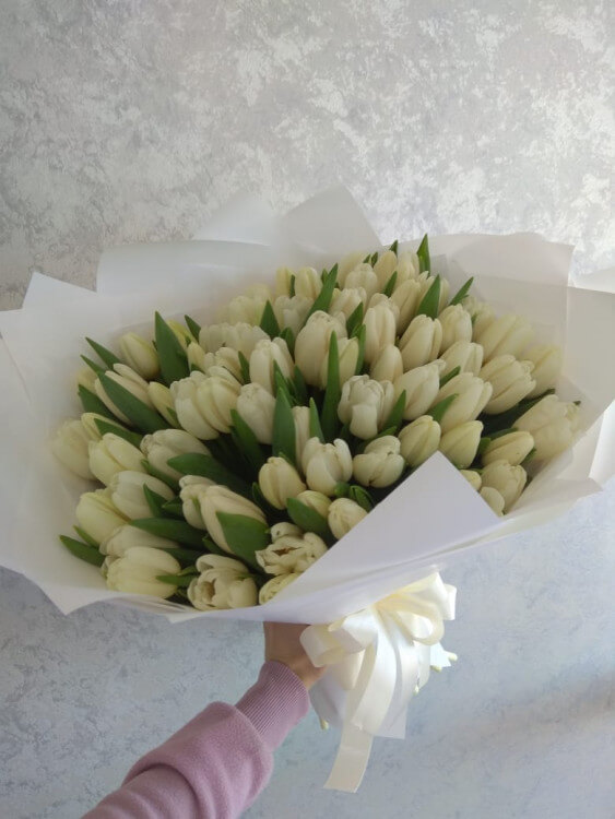 Букет из 75 белых тюльпанов