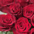 Роза 90 см Эквадор Красная (нет в наличии)