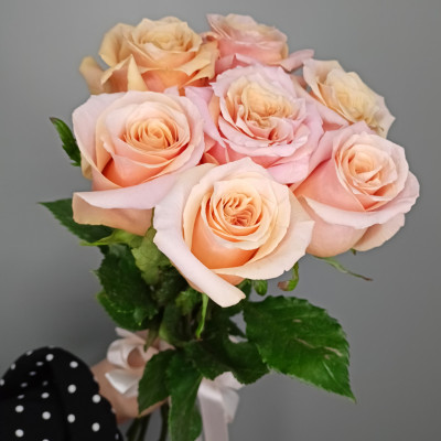 Букет из 7 пионовидных роз SHIMMER