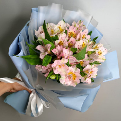 5 Альстромерий