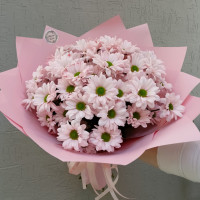 Букет из 7 нежно-розовых хризантем