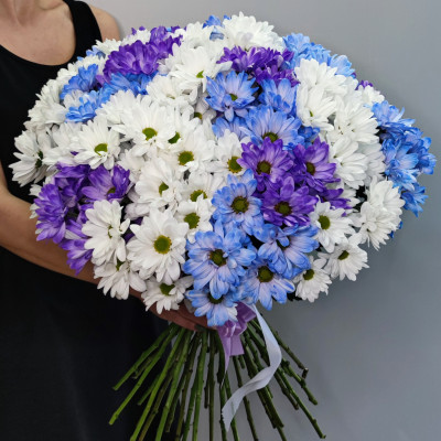 Прекрасные кустовые хризантемы