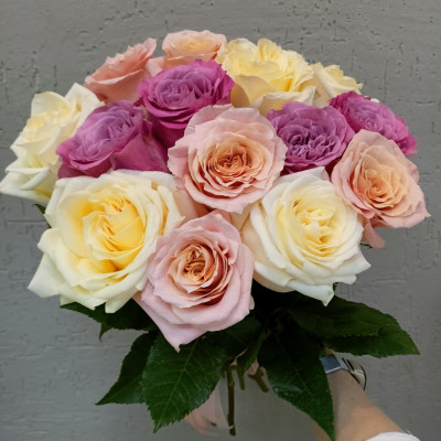 Букет из 15 пионовидных роз микс