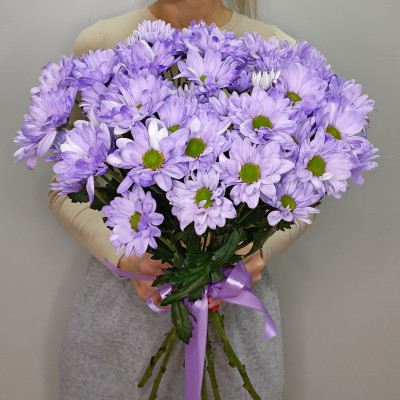 Букет из 7 сиреневых хризантем