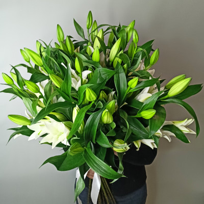 Букет из 15 белых лилий