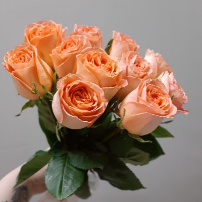 Букет из 11 персиковых роз